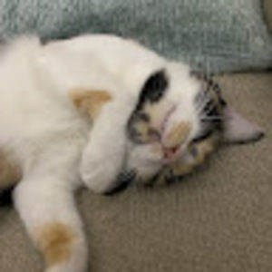 Meet your Posher, Jan